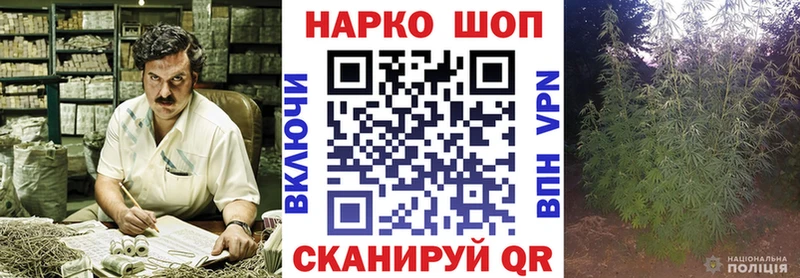 Наркошоп Курчалой Амфетамин  БУТИРАТ  Кокаин  Мефедрон  Каннабис  ГАШ  Alpha PVP 
