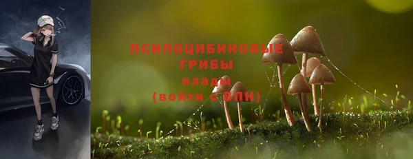 мдма Бородино