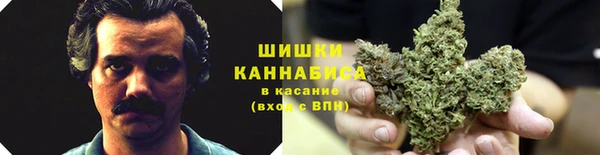 ECSTASY Бронницы