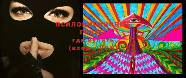 PSILOCYBIN Богородск