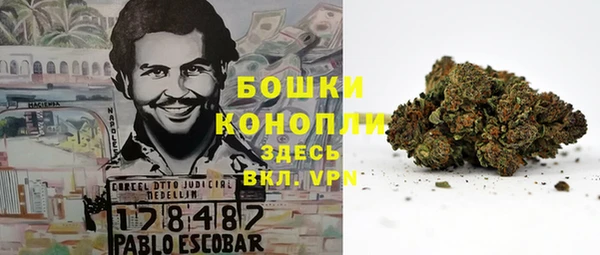 ECSTASY Бронницы