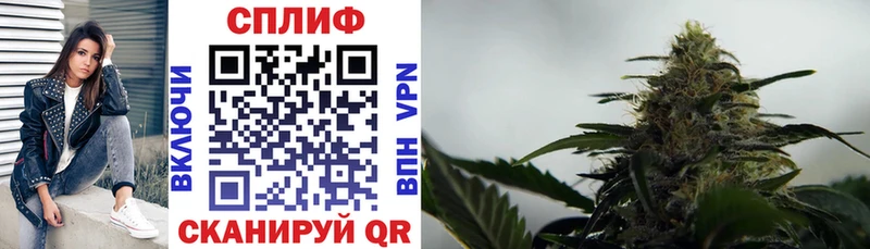 где продают   Курчалой  Шишки марихуана THC 21% 